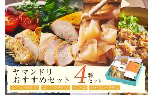 伊万里ヤマンドリ おすすめセット 016-G275