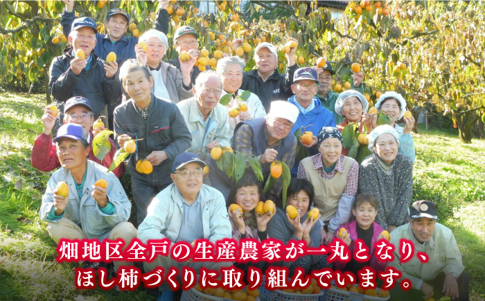 東出雲の畑ほし柿 15個入 島根県松江市/畑ほし柿生産組合 [ALBV003] 柿