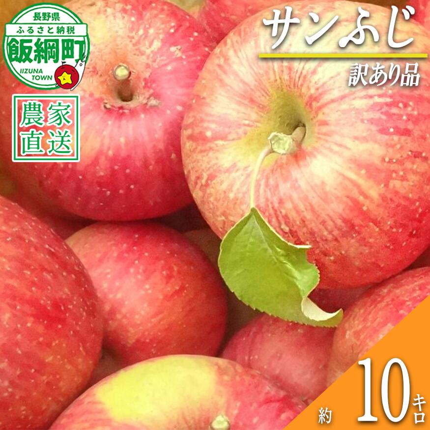 【ふるさと納税】 りんご サンふじ 10kg 訳あり 島田フルーツ農園 〔 果物 フルーツ 林檎 長野 予約 農家直送 不揃い 規格外 10キロ 〕【令和8年度収穫分】 発送：2026年12月上旬〜