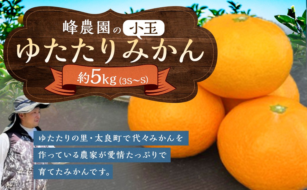 
                  LB15x1 峰農園のゆたたりみかん（小玉） 5kg みかん 温州みかん 完熟みかん さがみかん 太良みかん 早生 甘熟 柑橘 国産 極甘 小玉 美味しい ミネラル豊富 多良岳山系の水 有明海の潮風 贈答用 お中元 お歳暮 産地直送 佐賀県 太良町 【2026年11月発送予定】
                
