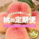 【ふるさと納税】No.2027ふくしまの桃 約5kg 定期便 3回【2025年 先行受付】 もも モモ あかつき 川中島白桃 くだもの 果物 人気 返礼品 お取り寄せ 福島市 福島県産 6万円台