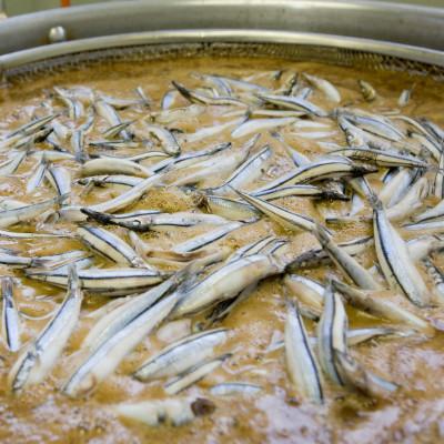 ふるさと納税 阿久根市 【鹿児島県産】きびなごの黒酢炊き100g×6 |  | 02
