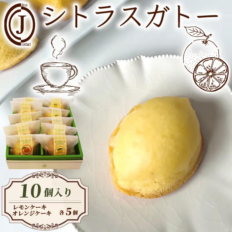 焼き菓子 シトラスガトー  10個入り オレンジケーキ レモンケーキ 【焼き菓子】