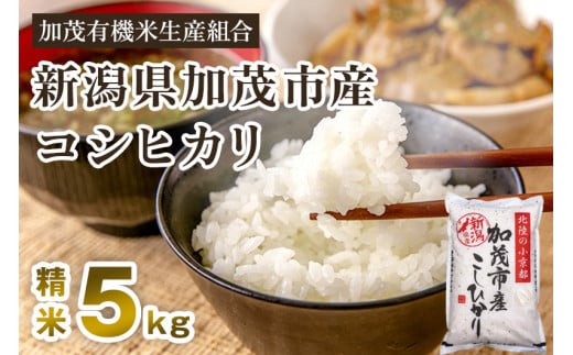 【令和6年産新米先行予約】新潟県加茂市産コシヒカリ 精米5kg 白米 加茂有機米生産組合