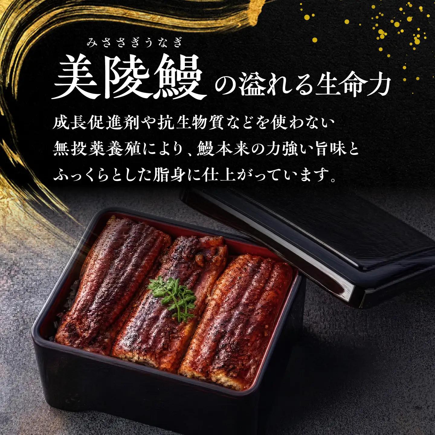 【全12回定期便】 鰻 鰻の蒲焼 1尾 / 美陵鰻 鰻 うなぎ ウナギ 蒲焼 蒲焼き かば焼き 白焼き 白焼 肉厚 うな重 うな丼 ひつまぶし おかず タレ 山椒 国産 スタミナ 土用 丑の日 土用の