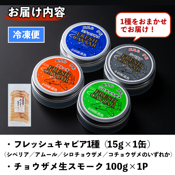 isa557 〈毎月数量限定〉おまかせフレッシュキャビア(15g×1種)＆チョウザメスモーク(100g×1P)セット【小田原養魚】