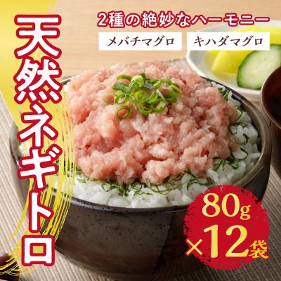 ふるさと納税 焼津市 天然ネギトロ(80g×12袋)(a10-635) |  | 01