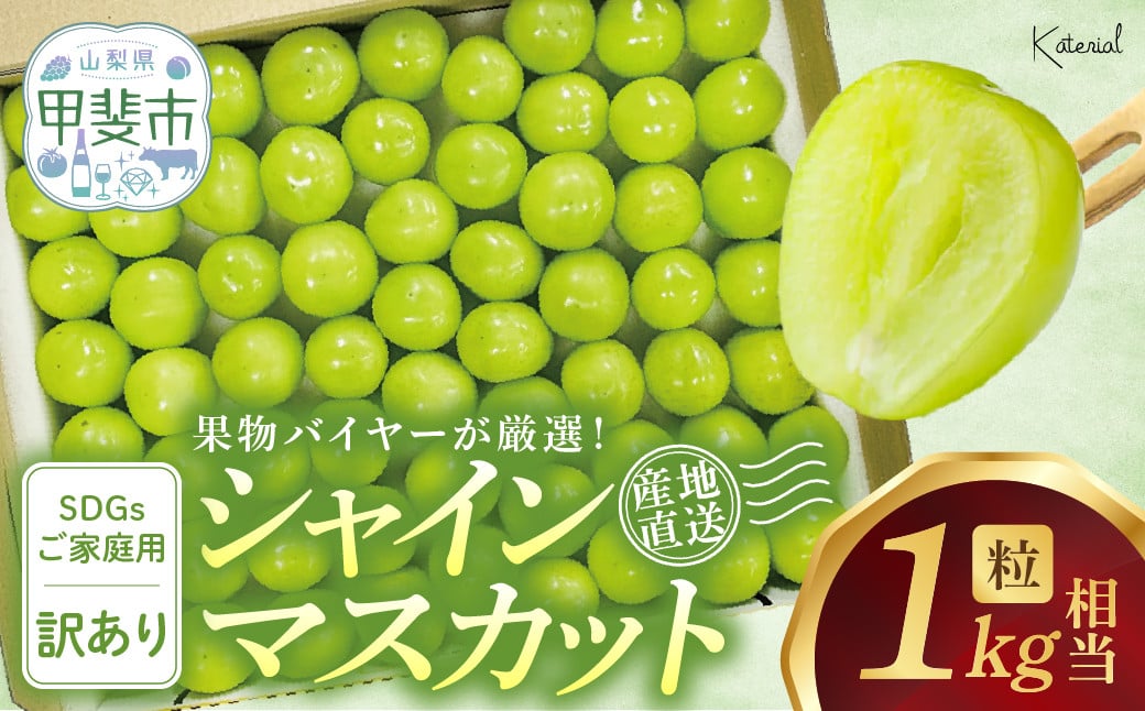 
            【2025年発送】 粒シャインマスカット 約1.0㎏ 山梨県産 国産 産地直送 人気 おすすめ 贈答 ギフト お取り寄せ フルーツ 果物 くだもの ぶどう ブドウ 葡萄 家庭用 わけあり ワケアリ 新鮮 甘い 皮ごと 甲斐市 AD-277
          