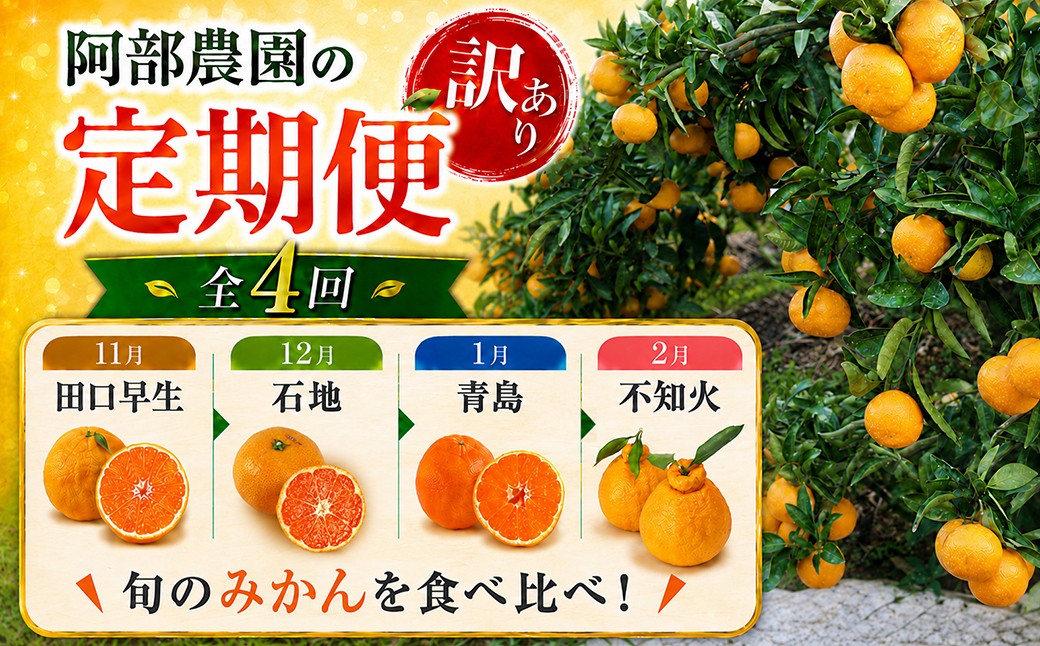 
                  阿部農園の訳あり定期便B　田口早生・石地・青島・不知火（11月・12月・1月・2月） ／ ミカン みかん 蜜柑 柑橘 温州みかん うんしゅうみかん 温州 うんしゅう 不知火 訳あり ワケアリ 定期便 テイキビン ていきびん 食べ比べ 果物 フルーツ 先行予約 11月 12月 1月 2月＜112-802＞
                