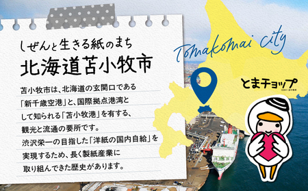 北海道 苫小牧市 応援寄附金 （ 返礼品なし ） 1,000円 T000-001-01 寄附 寄付 寄附金 寄付金 応援寄付金 雇用環境の整備 子育て環境の整備 移住促進 住みやすい環境の整備 ふるさ