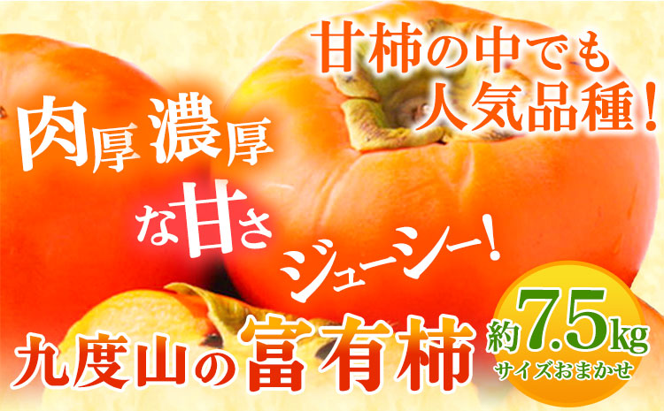 【先行予約】柿 の名産地 九度山の 富有柿 約 7.5kgサイズおまかせ 厳選館 《11月上旬-12月下旬より出荷予定》 和歌山県 日高川町 柿 カキ かき ジューシー フルーツ(F)