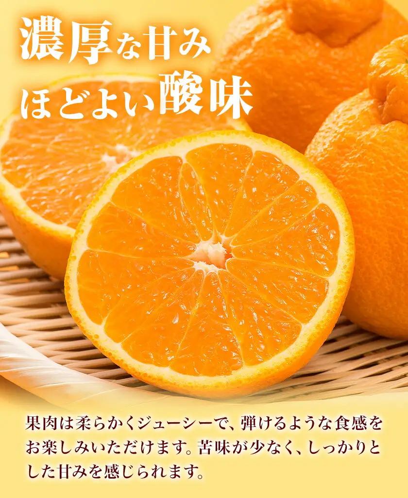 不知火 秀品 約2kg 20玉前後 農園誉 しらぬい