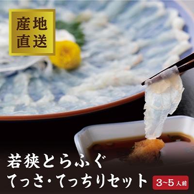 ふるさと納税 高浜町 【産地直送】若狭とらふぐ　てっさ(1尺32cm皿)・てっちり鍋用900g(3〜5人前)