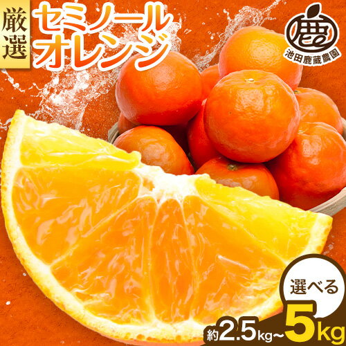 【ふるさと納税】厳選 セミノールオレンジ 2.5kg 4kg 5kg（傷み補償分）池田鹿蔵農園《2025年4月上旬-6月上旬頃出荷予定》 和歌山県 日高町 みかん 柑橘 フルーツ 送料無料 セミノール オレンジ くだもの【配送不可地域あり】