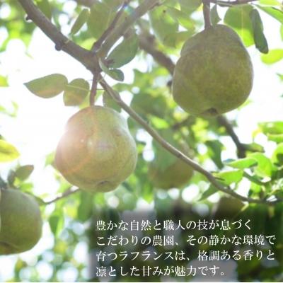 ふるさと納税 小川村 ラフランス酒　720ml*270 |  | 01