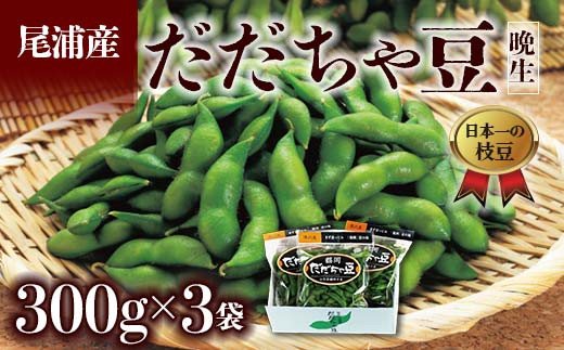 ≪2025年発送 先行予約≫だだちゃ豆 300g×3袋 ＜晩生種 尾浦＞  えだ豆 豆類 豆 枝豆 えだまめ 野菜 食品 山形県 FSY-0793