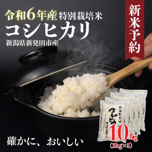 令和6年産 特別栽培米 コシヒカリ 10kg 2kg×5袋 米 白米 ご飯 料理 おにぎり 弁当 新潟県 新潟産 新発田産 コシヒカリ 佐々木耕起組合 2kg 特別栽培米 新潟県 新発田市 新米 非常食 備蓄 sasakikoki001_01 