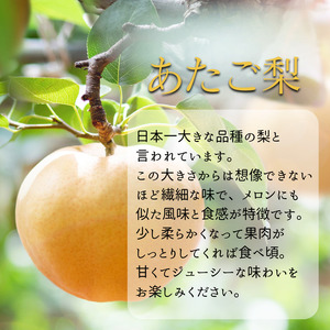 あたご梨 4～9玉 約4.5kg 贈答箱【先行予約 2025年11月中旬から順次発送】