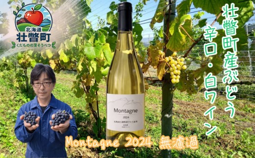 昭和新山ワイン Montagne 2024 無濾過(モンターニュ） 白ワイン 辛口 750ml 1本 【ふるさと納税 人気 おすすめ 白ワイン 昭和新山 ワイン 白 辛口 お酒 壮瞥町産 ぶどう 100％ ピノノワール シャルドネ ケヴェルツトラミネール 丹波ワイン 北海道 壮瞥町 送料無料】 SBTQ013