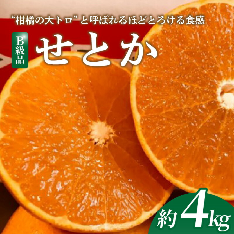 【ふるさと納税】 【2026年2月下旬より発送】 せとか 4kg 【B級品】 | みかん 愛媛 先行予約 柑橘 果物 くだもの フルーツ お楽しみ お取り寄せ グルメ 期間限定 数量限定 人気 おすすめ ギフト 愛媛県 松山市