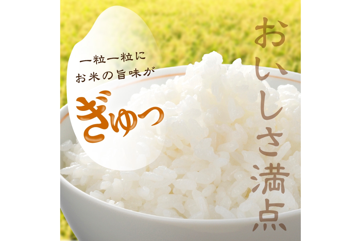 京都・久美浜産 特別栽培米コシヒカリ 1.5kg　AL00001