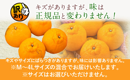 先行予約 訳あり 数量限定 海藻木酢 不知火 計7kg以上 傷み補償分付き 期間限定 フルーツ 果物 くだもの 柑橘 みかん 訳アリ 国産 食品 デザート おやつ おすそ分け おすすめ ご家庭用 ご自