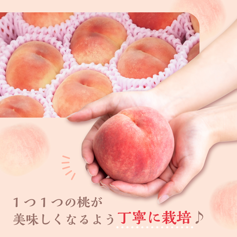 《 先行予約 》 【 令和7年産 】 白桃 （ もも ） 3kg ( 6 ～ 11玉 ) 品種 おまかせ 〔 8月上旬 ～ 9月上旬頃お届け 〕 2025年産 産地直送