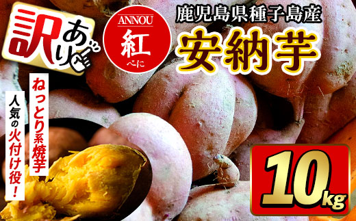 n276 《訳あり》期間・数量限定！種子島産 安納芋＜紅＞(10kg)【うずえ屋】