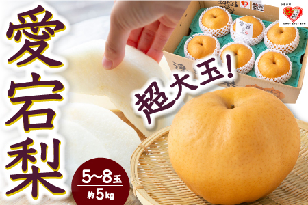 【先行予約】佐藤ファーム 愛宕梨 5玉から8玉(約5kg) 2025年11月上旬 出荷予定