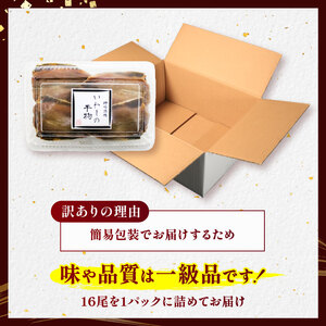 訳あり いわし 干物 48尾 (16尾×3パック) 冷蔵 国産 小分け 開き 便利 パック ご飯 イワシ ごはん 魚 さかな いわし 簡単 調理 干物 真イワシ ご飯のお供 つまみ 干物 酒の肴 鰯 