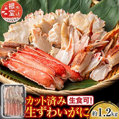 ふるさと納税 根室市 生食可!カット済み生ずわいがに約1.2kg B-11099