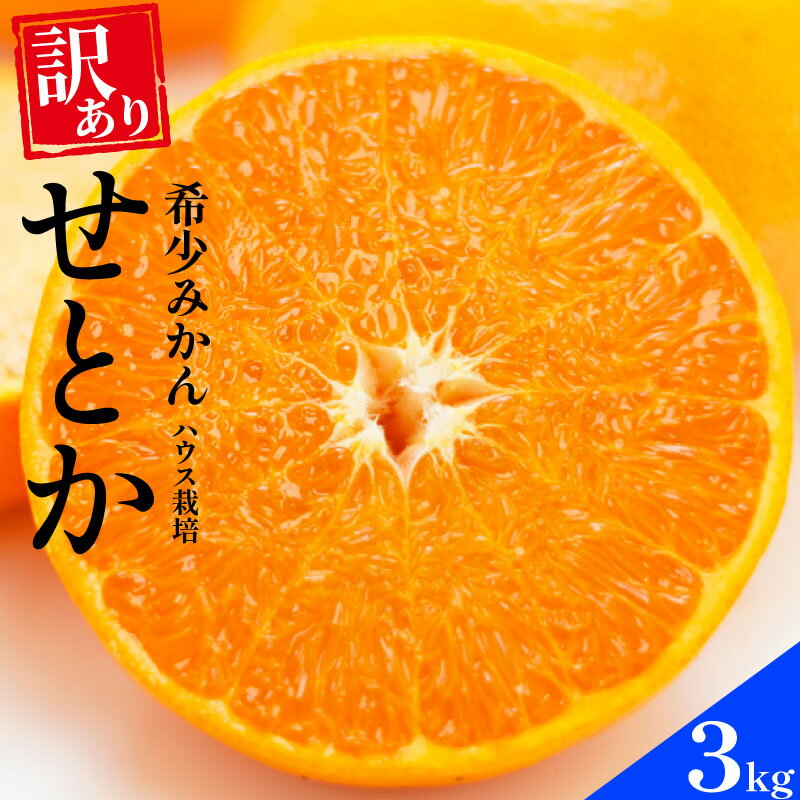 【ふるさと納税】先行予約 訳あり せとか 3kg ハウス栽培 柑橘 フルーツ 果物 蜜柑 みかん くだもの mikan かんきつ オレンジ せとか 高級柑橘 デザート 果実 甘い ジューシー おいしい 特産品 国産 農園 直送 産地 直送 ギフト 贈答 プレゼント 愛媛県 愛南町 豊田農園