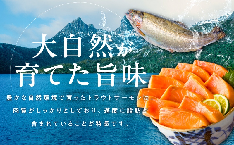 お刺身用 サーモン トラウト 1kg【小分け 約250g×4P ポーション ブロック 柵 訳あり サイズ不揃い さーもん 数量限定