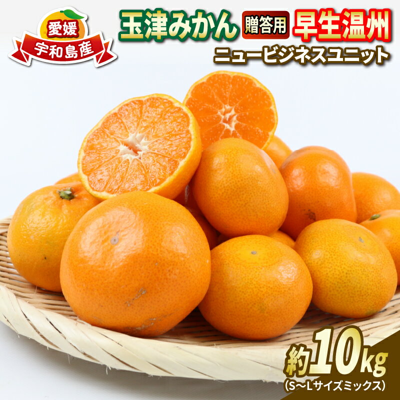 【ふるさと納税】 贈答用 優品 愛媛 みかん 早生 温州 10kg S~L サイズ ミックス 玉津みかん ニュービジネスユニット 先行予約 早生温州 温州みかん 不揃い 果物 くだもの フルーツ 柑橘 蜜柑 mikan 愛媛みかん 農家直送 産地直送 数量限定 国産 宇和島 B018-058004
