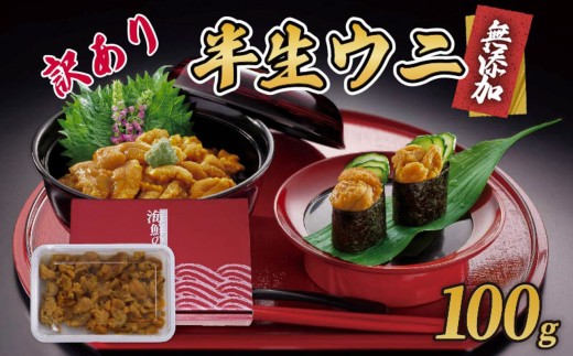 訳あり 半生うに 100g 冷凍 うに ウニ 雲丹 キタムラサキウニ ミョウバン不使用 ウニ丼 丼 おつまみ 晩酌 海鮮 海産物 珍味 日本三大珍味 テレビ TV 放送 ニュース 番組 大船渡 大船渡市 三陸 岩手県