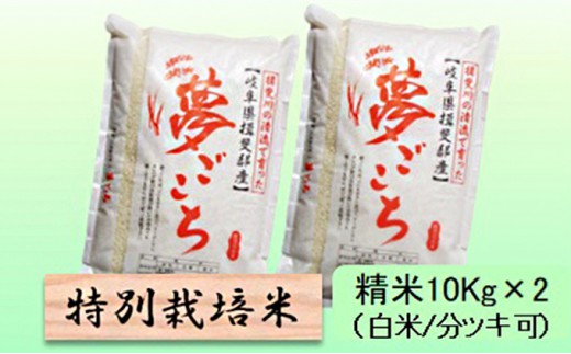 
                  特別栽培米★精米20kg（白米/5分/7分ツキ可）【夢ごこち】 玄米は別に出品 お米 ブランド米 銘柄米 ご飯 モッチリ 甘い 低アミロース米 冷めても美味しい 
                