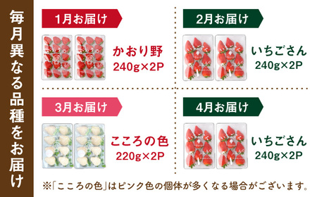 【先行予約 2027年1月～発送】【4回定期便】3種の食べ比べ定期便(3)  いちご