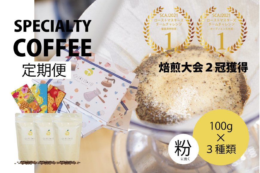 
定期便 6回 【日本一の焙煎士厳選】珈琲 粉 100g×3種 スペシャルティコーヒー 飲み比べ [日向珈琲 宮崎県 日向市 452060431] コーヒー 焙煎 自家焙煎 詰め合わせ
