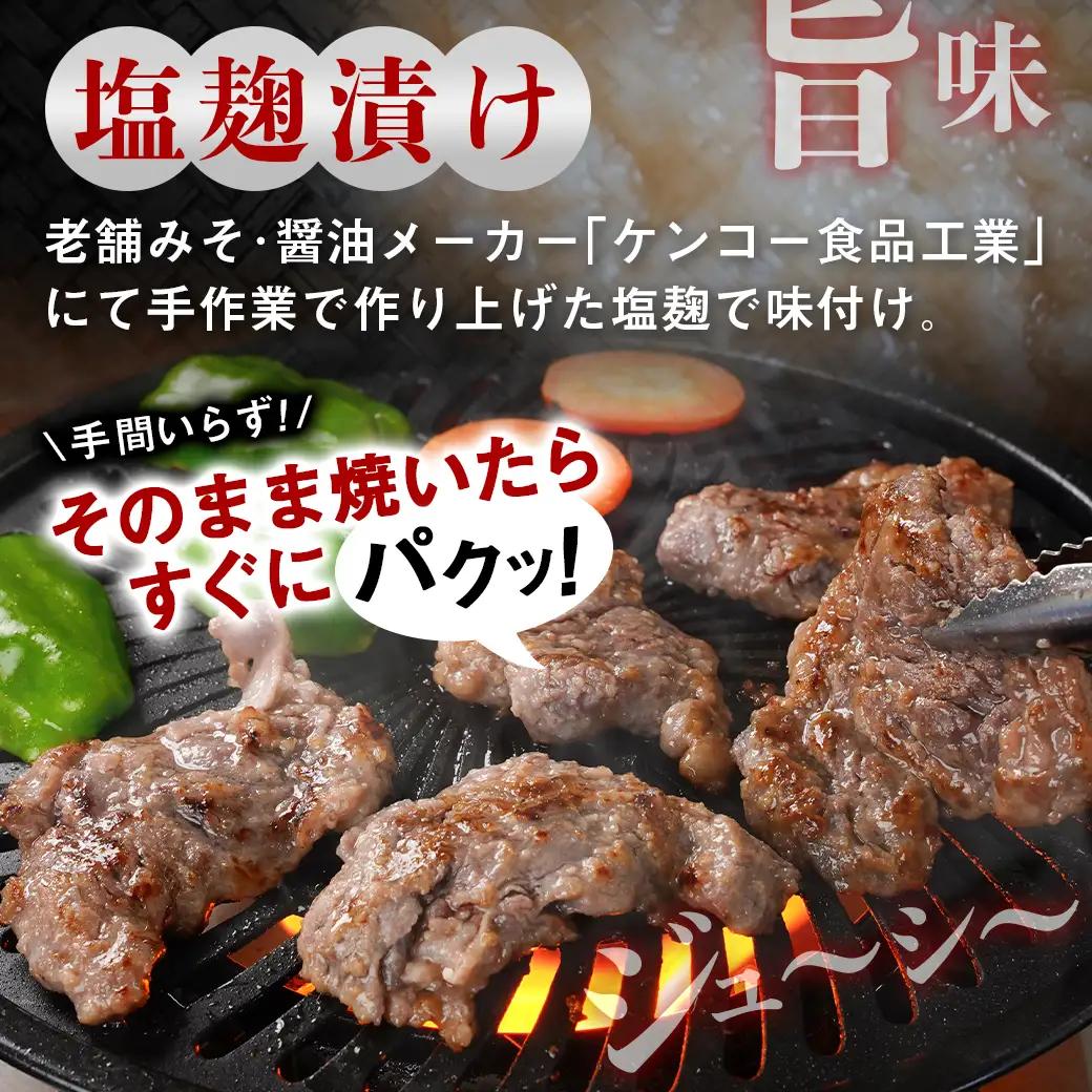 牛ハラミ 塩麹タレ漬け1.5kg〔14J-33-025-1500g〕_(都城市)  味付き 牛肉 真空 小分け