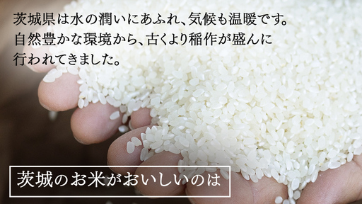令和7年産 茨城県産 精米 特別栽培米 コシヒカリ 10kg （5kg×2袋）