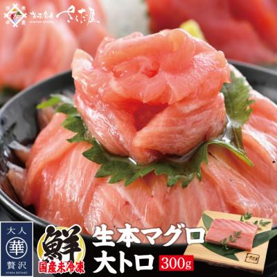 ふるさと納税 越前町 「生まぐろ」大トロ　300g(2〜3柵)