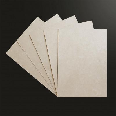 ふるさと納税 静岡市 みほのまつがみ　名刺 100枚 |  | 01