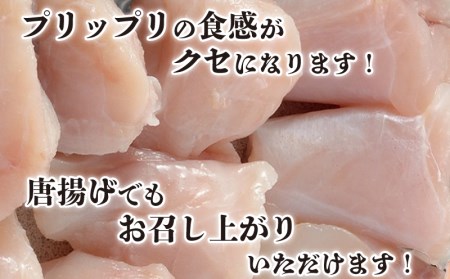 ふぐちり 400g 3人前 冷凍 ふぐ FG