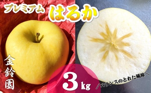 予約受付 ＼ 11月下旬発送予定 ／【北上市産】プレミアムはるか 【厳選玉】 3キロ (約9～12玉)  国産 林檎 リンゴ はるか 果物 フルーツ 産地直送 旬 秋 冬 季節限定 金鈴園 岩手県 北上市 D0448