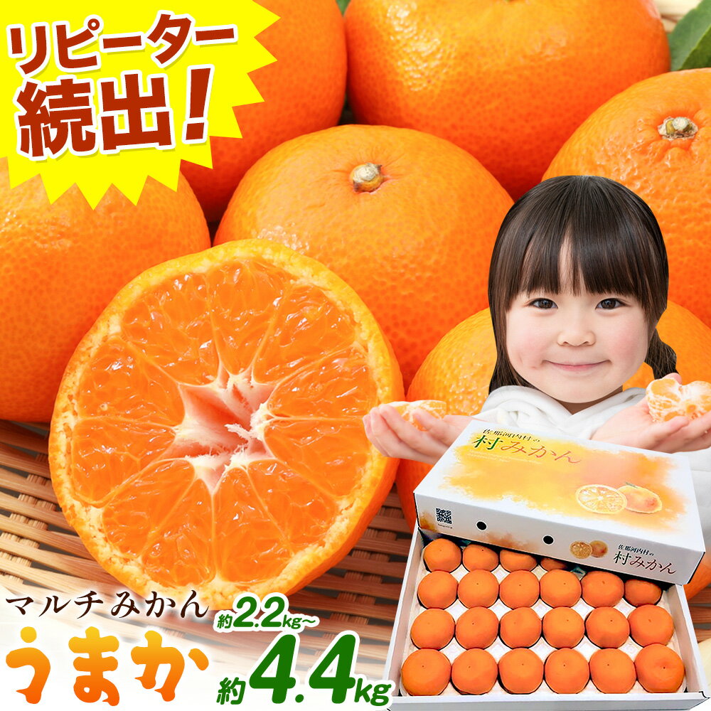 【ふるさと納税】丹精込めて育てました！マルチみかん「うまか」 1箱 2.2kg または 2箱 4.4kg 《11月中旬-12月末頃に出荷予定(土日祝除く)》【配送不可地域あり】※離島 広畠農園 みかん ミカン 蜜柑 早生 柑橘 佐那河内 徳島県 箱入り 化粧箱 S M L フルーツ 果物 くだもの