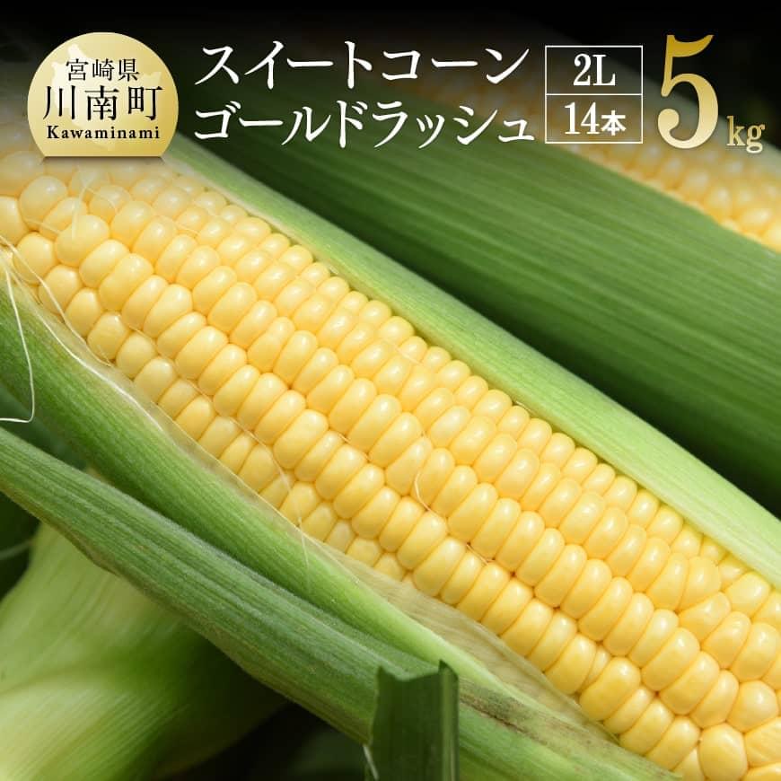 【ふるさと納税】※レビューキャンペーン※ 【令和7年発送】朝どれ！守部さんちのゴールドラッシュ (2L)5kg - 先行予約 数量限定 宮崎県産(川南町産) とうもろこし 送料無料 期間限定 朝どれ D06408