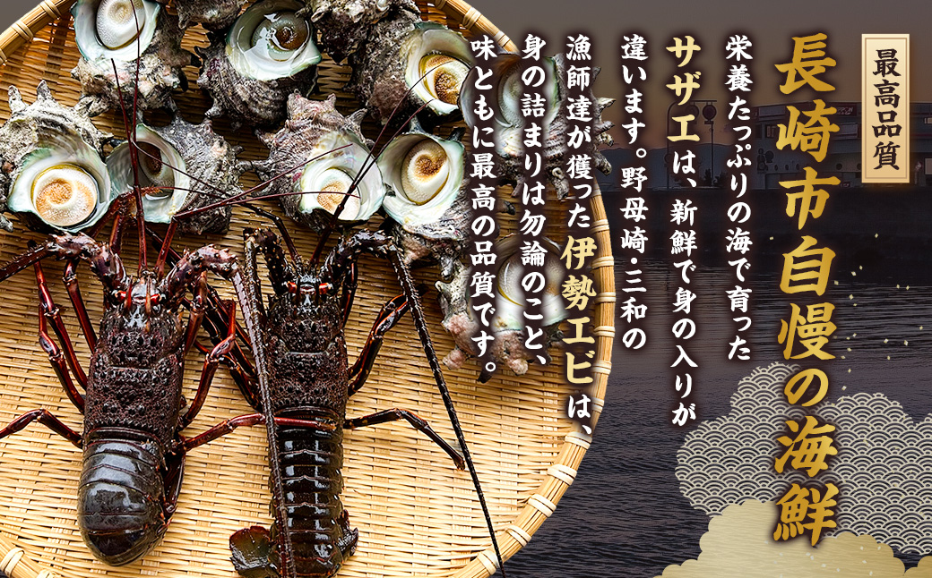 活伊勢海老（イセエビ）0.5kg・活サザエ1.5kg 伊勢海老 エビ サザエ セット 刺身 つぼ焼き 伊勢エビ 旨味 凝縮 生食 新鮮 活締め