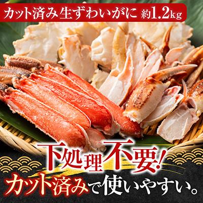 ふるさと納税 根室市 生食可!カット済み生ずわいがに約1.2kg B-11099 |  | 01