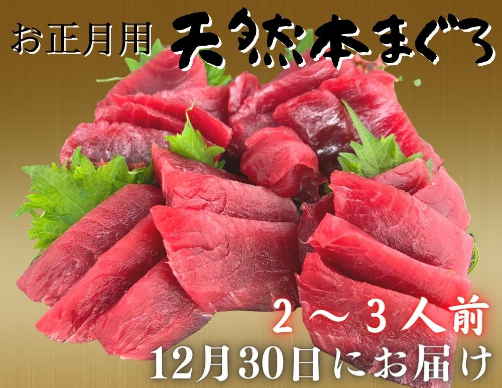 
            【お正月用】本まぐろ赤身2柵（2025年12月30日にお届け）2～3人前　M005-037
          