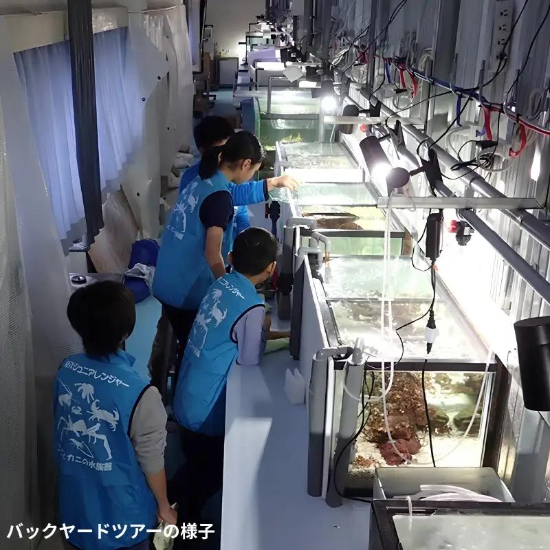 ＼バックヤードツアー付き／　エビとカニの水族館 10名様チケット　【ebk104】
